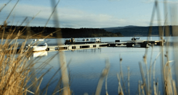 Hanningfield Waterside Park